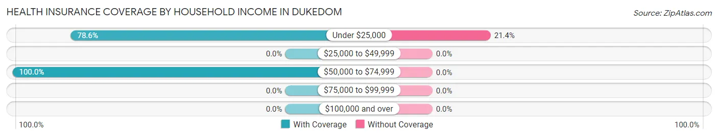 Health Insurance Coverage by Household Income in Dukedom