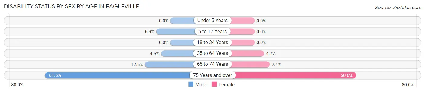 Disability Status by Sex by Age in Eagleville