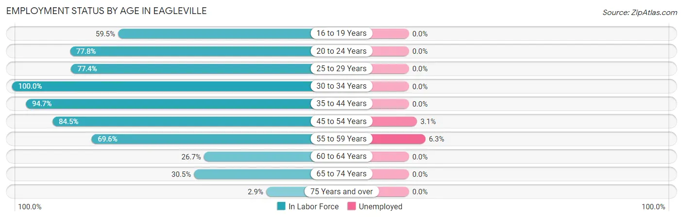 Employment Status by Age in Eagleville