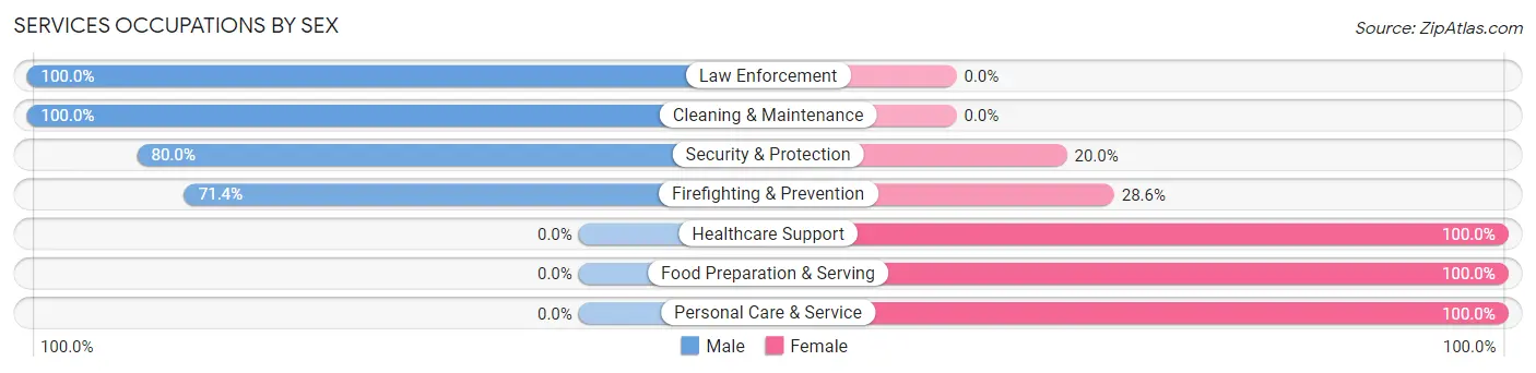 Services Occupations by Sex in Eagleville