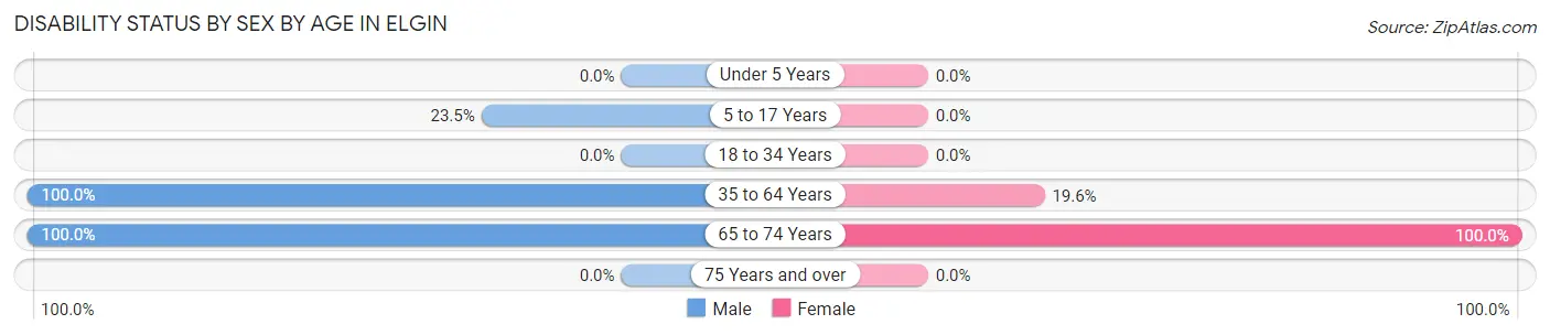 Disability Status by Sex by Age in Elgin