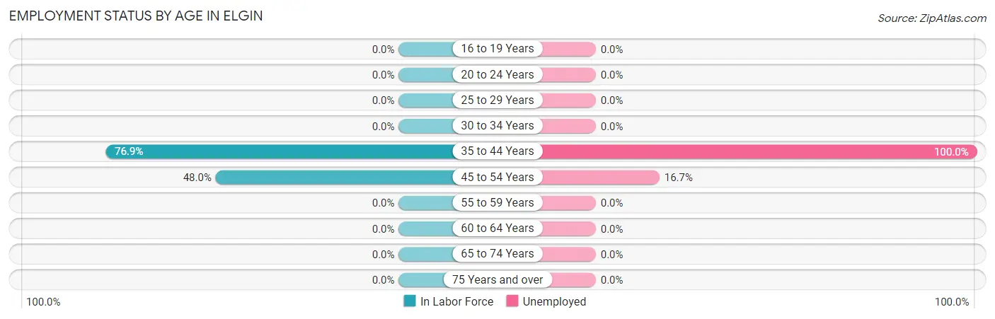 Employment Status by Age in Elgin