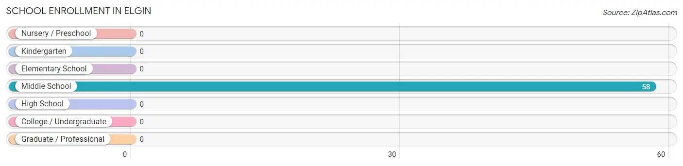 School Enrollment in Elgin