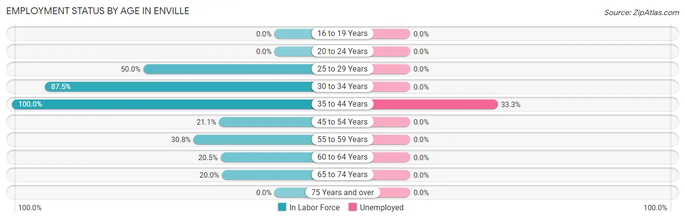 Employment Status by Age in Enville