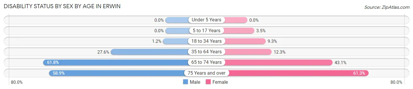 Disability Status by Sex by Age in Erwin