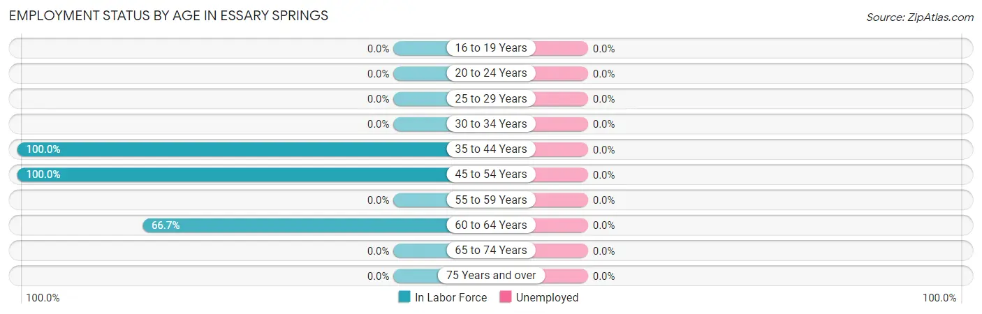 Employment Status by Age in Essary Springs