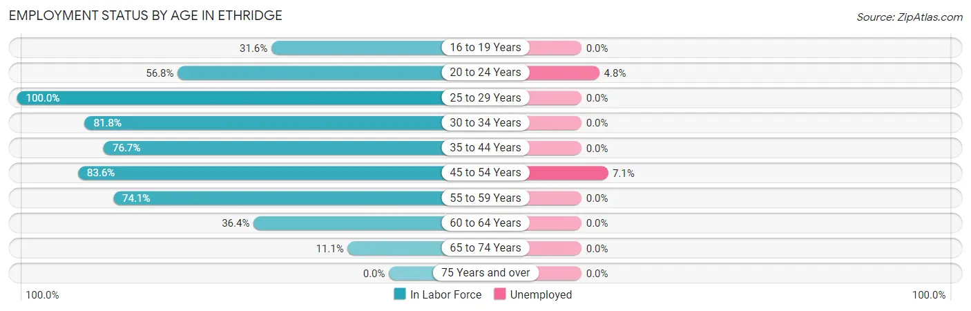 Employment Status by Age in Ethridge