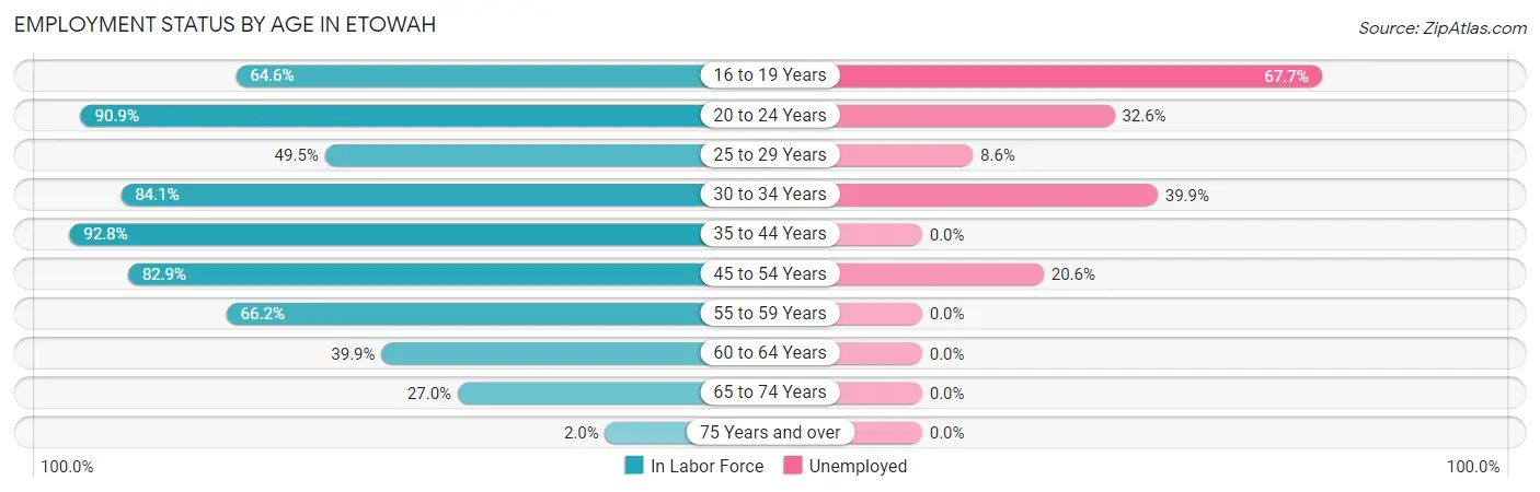 Employment Status by Age in Etowah