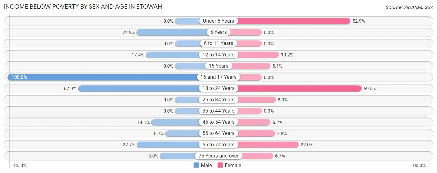 Income Below Poverty by Sex and Age in Etowah