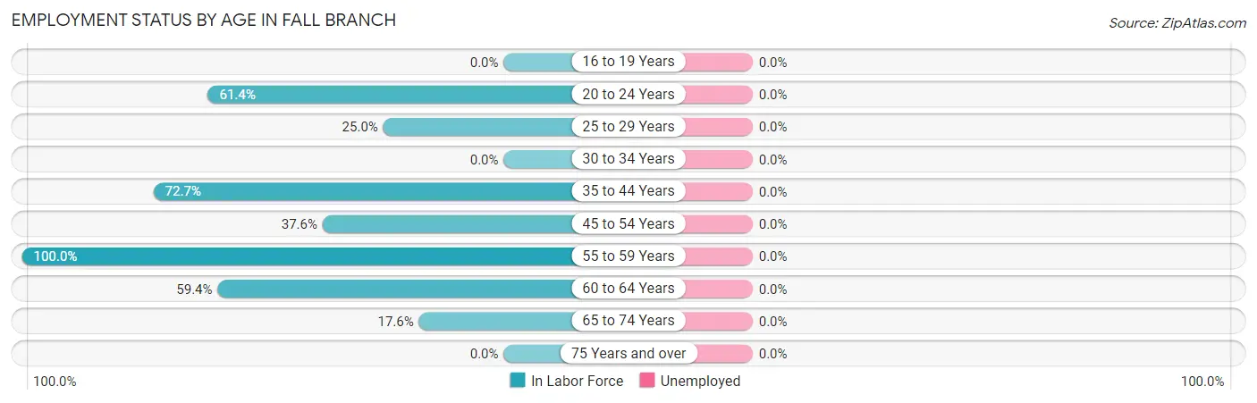 Employment Status by Age in Fall Branch