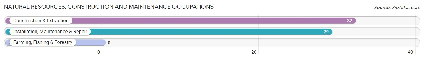 Natural Resources, Construction and Maintenance Occupations in Fall Branch