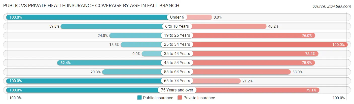 Public vs Private Health Insurance Coverage by Age in Fall Branch