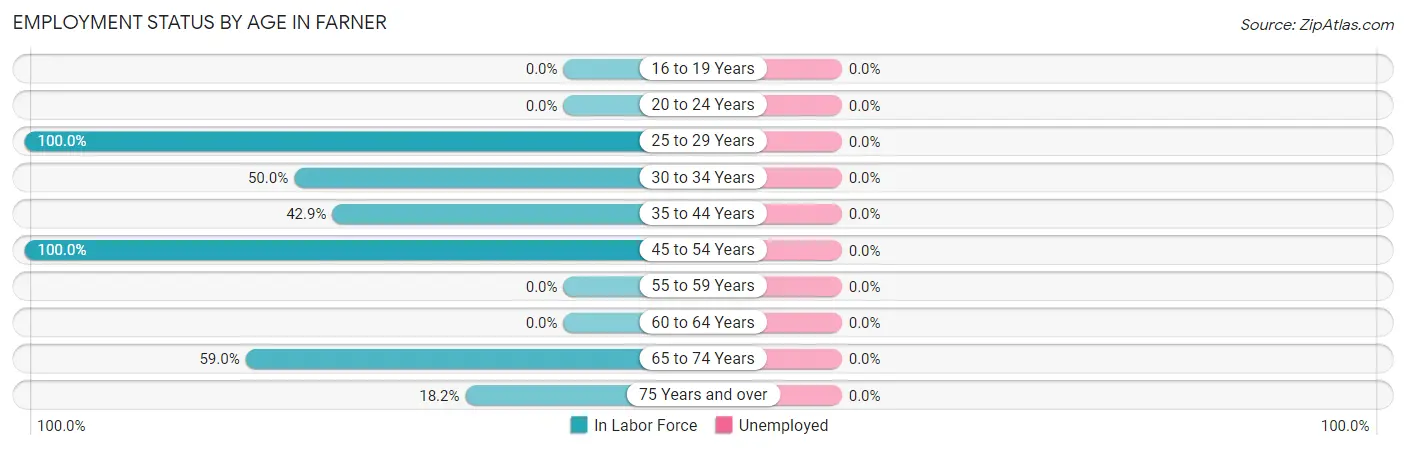 Employment Status by Age in Farner