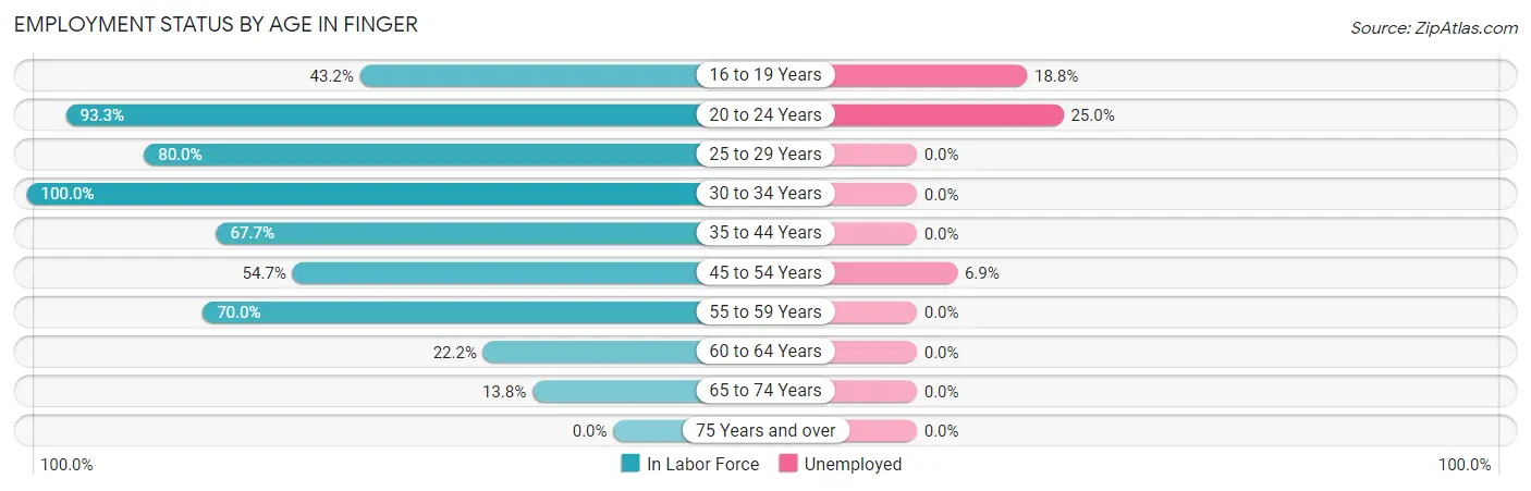 Employment Status by Age in Finger