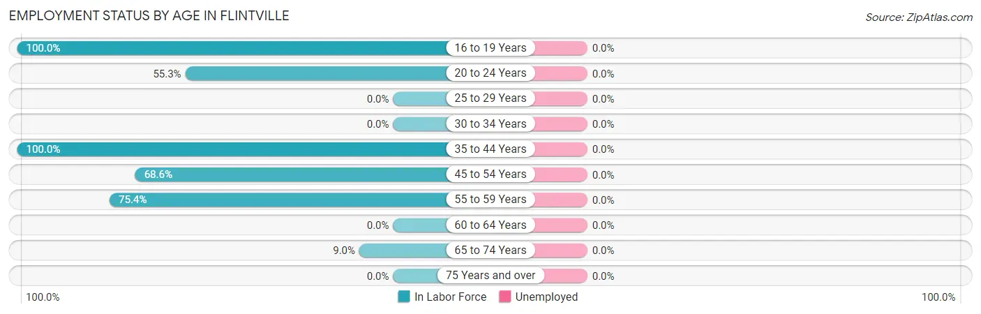 Employment Status by Age in Flintville