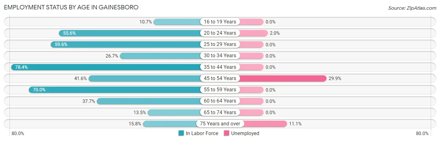 Employment Status by Age in Gainesboro
