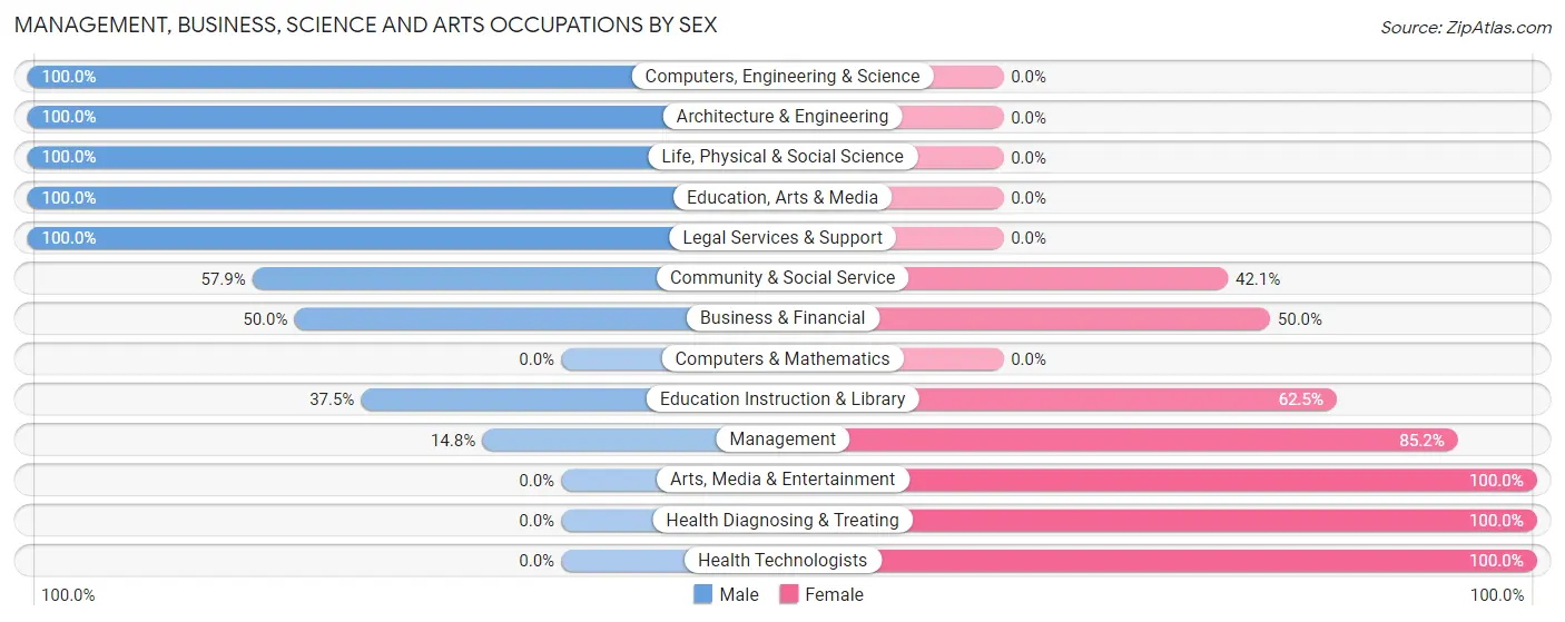 Management, Business, Science and Arts Occupations by Sex in Gainesboro