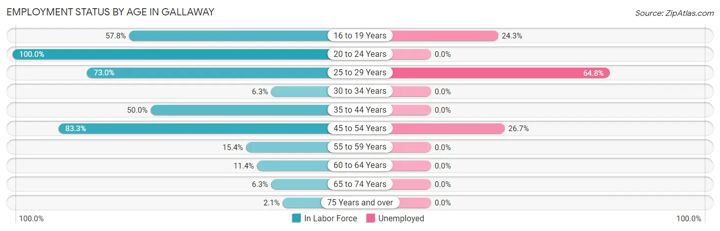 Employment Status by Age in Gallaway