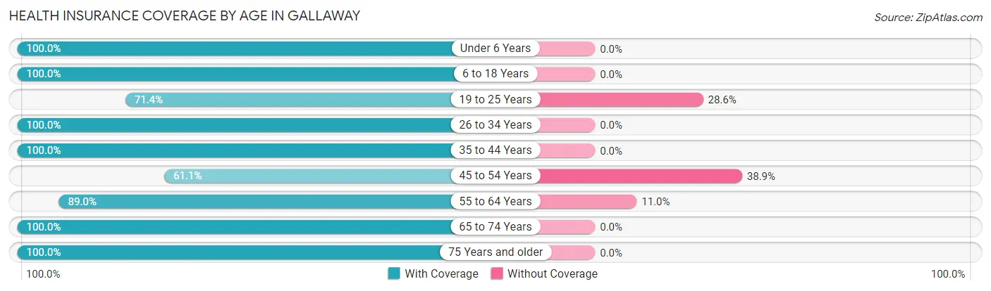 Health Insurance Coverage by Age in Gallaway
