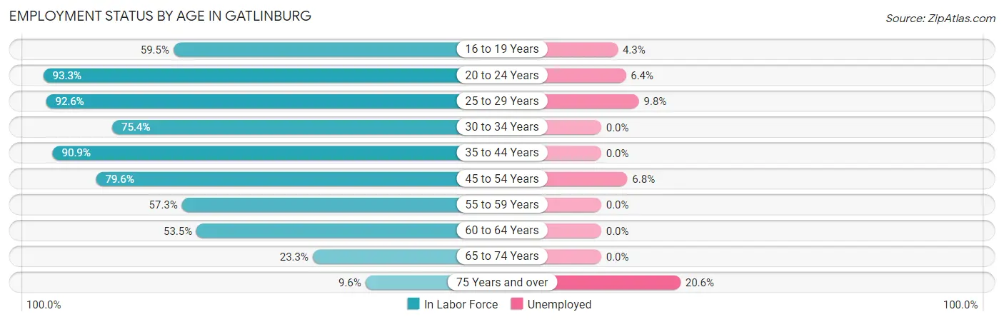 Employment Status by Age in Gatlinburg