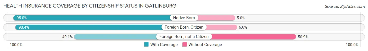 Health Insurance Coverage by Citizenship Status in Gatlinburg