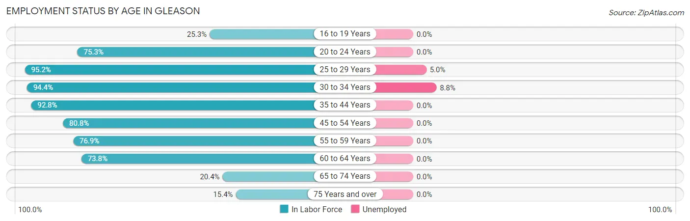 Employment Status by Age in Gleason