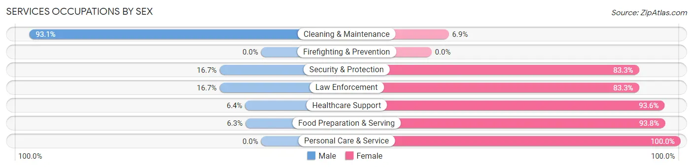 Services Occupations by Sex in Gleason