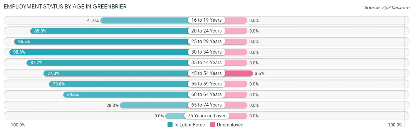 Employment Status by Age in Greenbrier