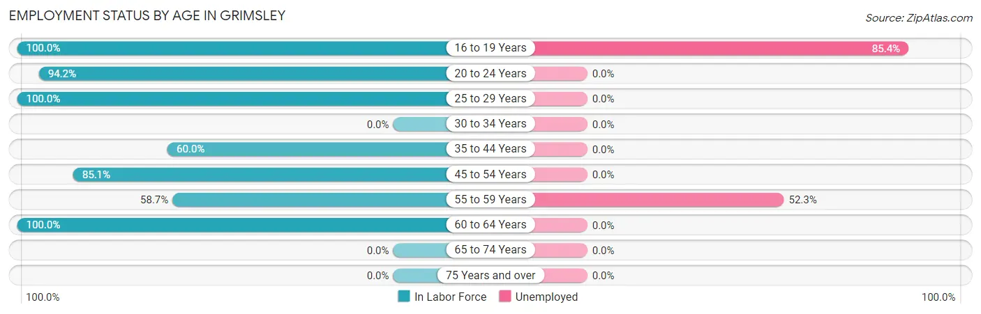 Employment Status by Age in Grimsley