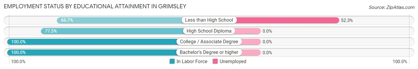 Employment Status by Educational Attainment in Grimsley
