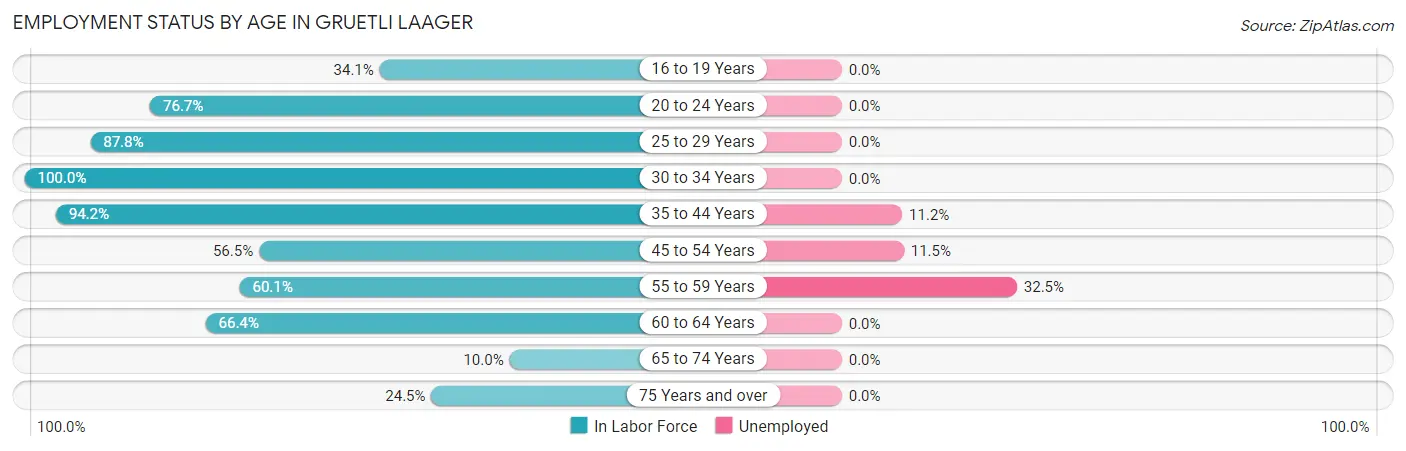 Employment Status by Age in Gruetli Laager