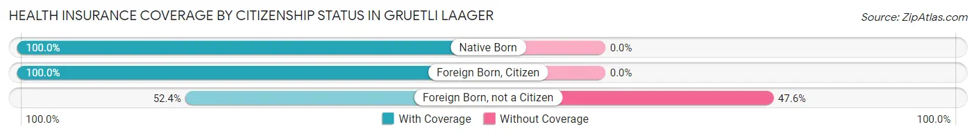 Health Insurance Coverage by Citizenship Status in Gruetli Laager