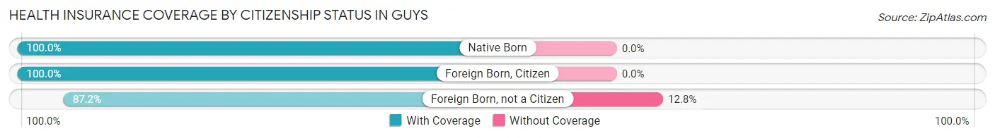 Health Insurance Coverage by Citizenship Status in Guys
