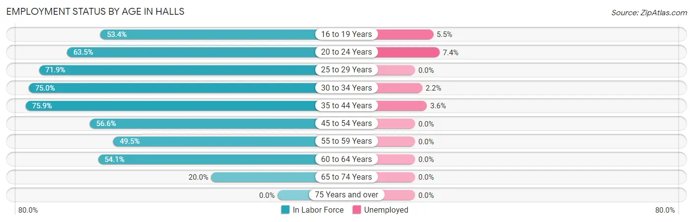Employment Status by Age in Halls