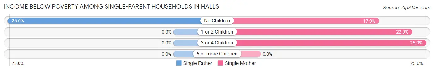 Income Below Poverty Among Single-Parent Households in Halls