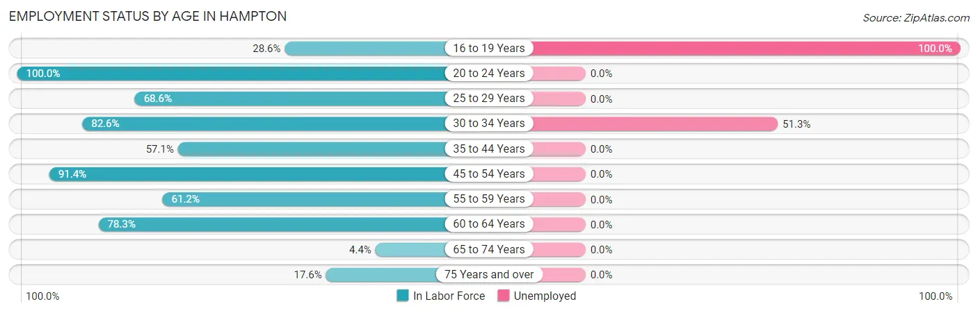 Employment Status by Age in Hampton