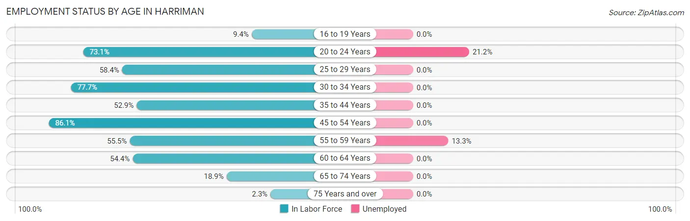 Employment Status by Age in Harriman