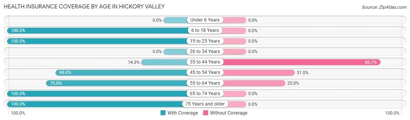 Health Insurance Coverage by Age in Hickory Valley