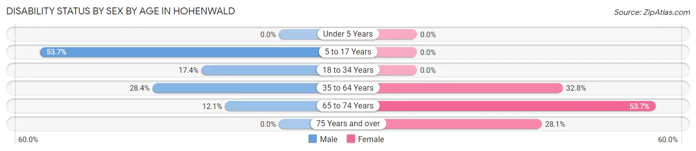 Disability Status by Sex by Age in Hohenwald