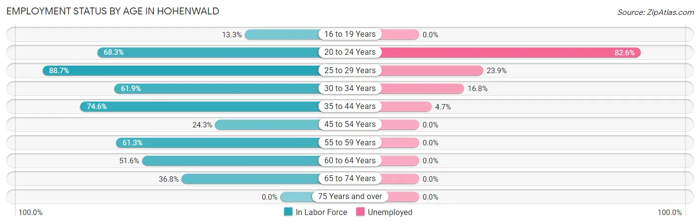 Employment Status by Age in Hohenwald
