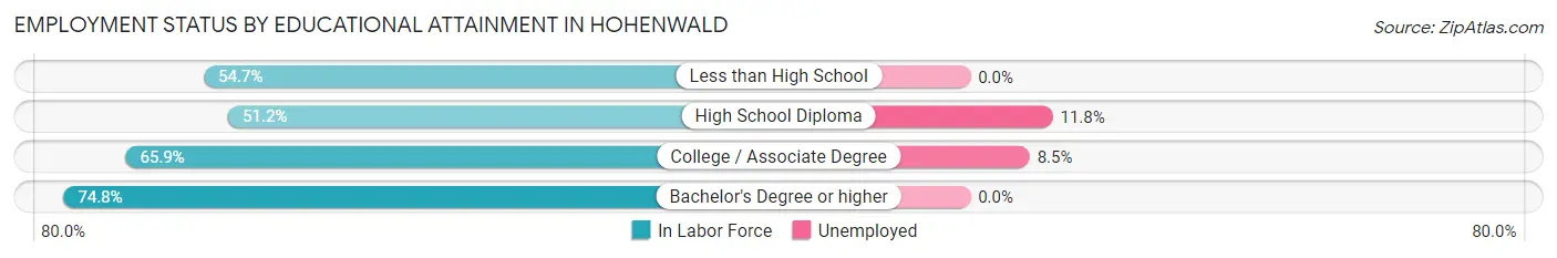 Employment Status by Educational Attainment in Hohenwald
