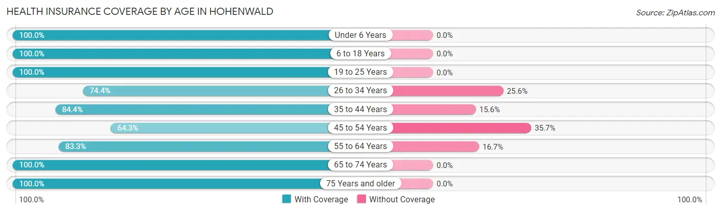 Health Insurance Coverage by Age in Hohenwald