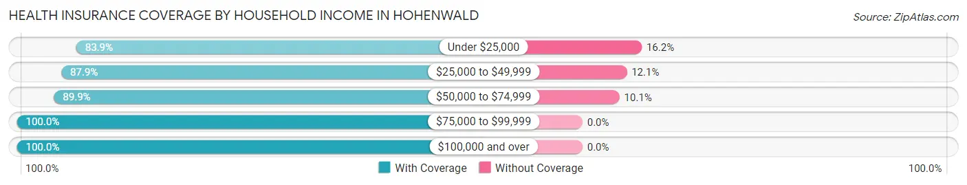 Health Insurance Coverage by Household Income in Hohenwald