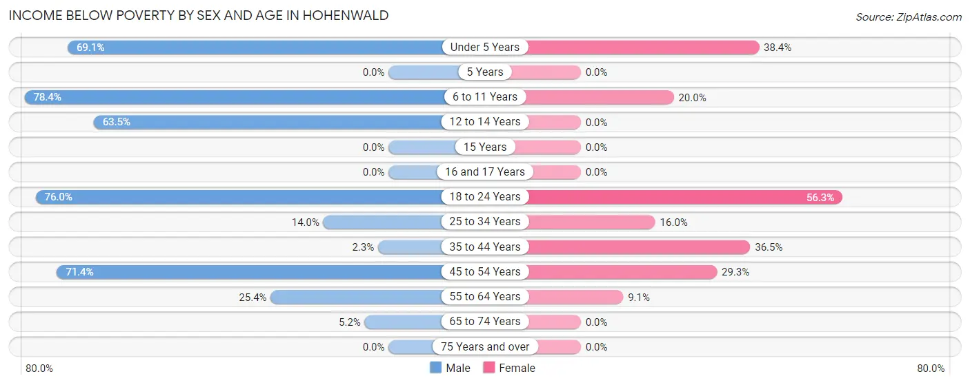 Income Below Poverty by Sex and Age in Hohenwald