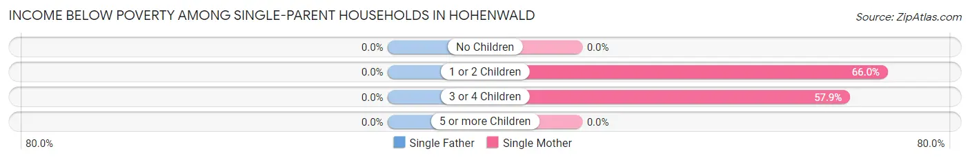 Income Below Poverty Among Single-Parent Households in Hohenwald