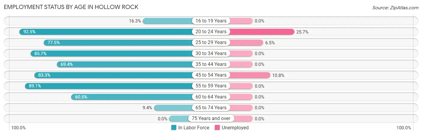 Employment Status by Age in Hollow Rock