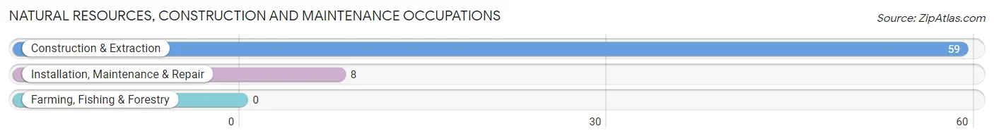 Natural Resources, Construction and Maintenance Occupations in Hollow Rock