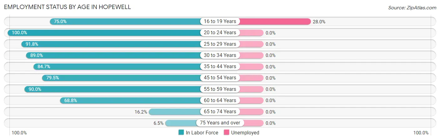 Employment Status by Age in Hopewell