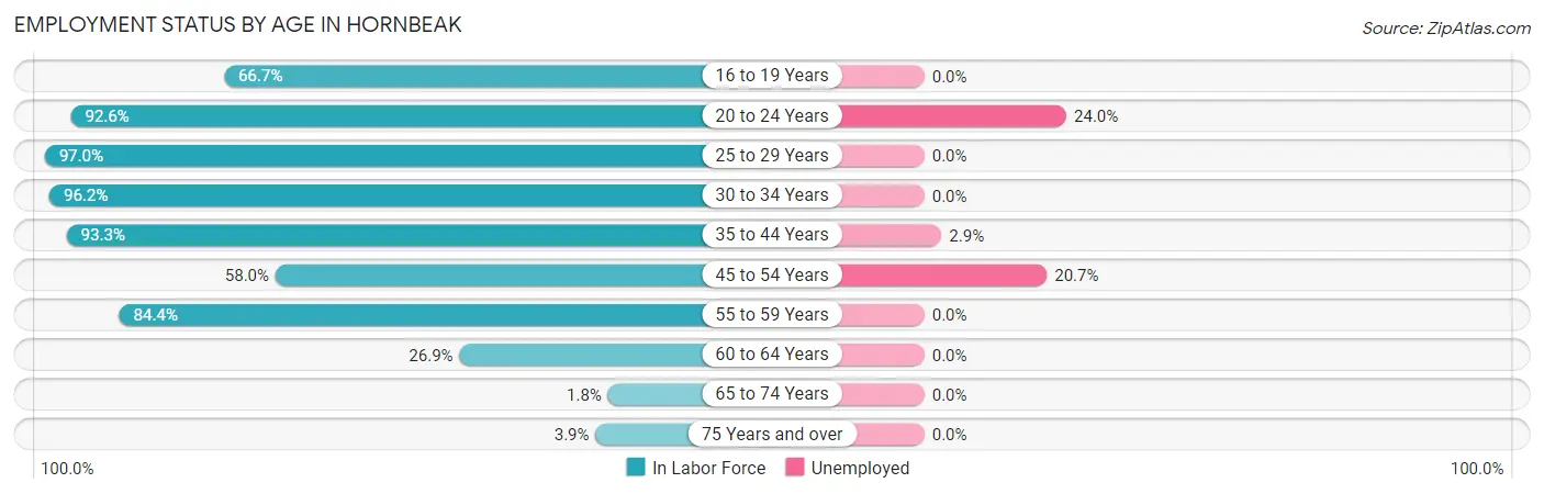 Employment Status by Age in Hornbeak