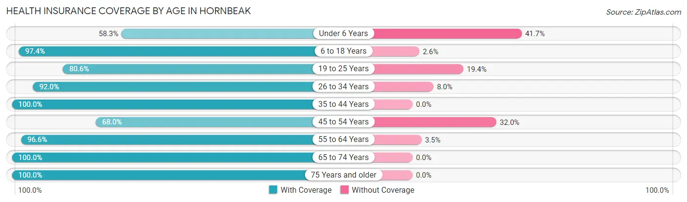 Health Insurance Coverage by Age in Hornbeak